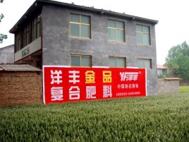  固始如何让墙体广告展现最大化效果
