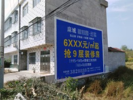  固始墙体广告质量分析