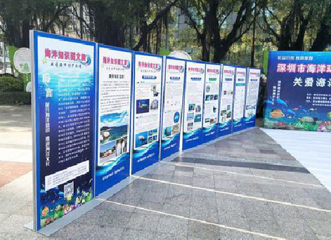  固始KT板的种类和知识。